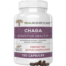Chaga Extract Immune and Digestive Support Organic Non-GMO