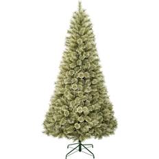 With Lighting Christmas Trees National Tree Company First Traditions Arcadia Pine Cashmere Christmas Tree