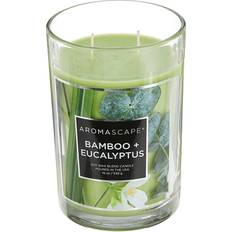 Aromascape PT41900 2-Wick Jar Bamboo Eucalyptus, 19-Ounce