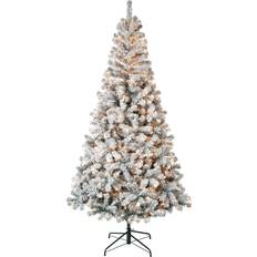 National Tree Company First Traditions Pre-Lit Acacia Flocked Christmas Tree