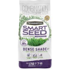 Flower Seeds Pennington Smart Seed Dense Shade Grass Mix