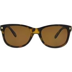 Sunglasses Way Tortoise with Brown Lenses Grant