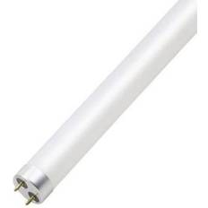 Beyond Single and Double Fluorescent Lamps 18W G13