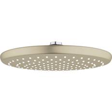 Grohe Overhead & Ceiling Showers Grohe 26 715