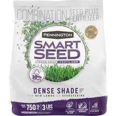 Pennington Seeds Pennington Smart Seed Mixed Dense Shade Grass Seed