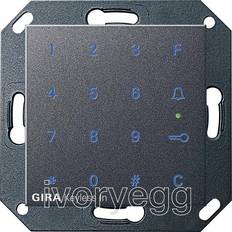 Gira System 55 Keyless Keypad, anthracite