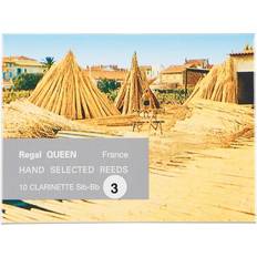 Rigotti Queen Reeds For Bb Clarinet Strength 3.5 Box Of 10