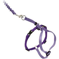 PetSafe Cats Pets PetSafe Come with Me Kitty Bungee Adjustable Leash Cat