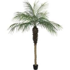 Vickerman Pots, Plants & Cultivation Vickerman Green Potted Phoenix Palm Tree with Leaves