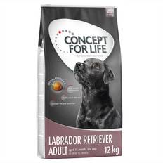 Hundefoder Concept for Life 2x12kg Labrador Retriever Adult hundefoder