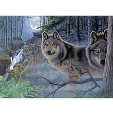 Diamond Paintings Mystical Moonlight Adult Paint By Number Kit 15-3/8 inches X11-1/4 inches