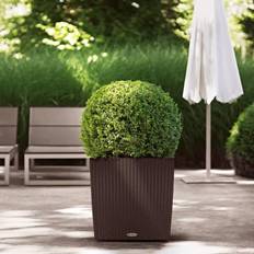 Potter, Planter & Dyrking Lechuza Mocha, H50 L50 W50 CUBE Cottage Square Poly Resin Self-watering Planter