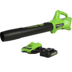 Greenworks Leaf Blowers Greenworks 24V Axial Blower with 2Ah USB Battery and Charger BL24B212
