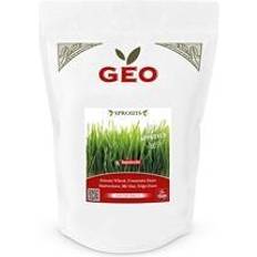 Gressfrø Geo Vetegräsfrö EKO 600 gram
