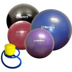 Medicine Balls Bintiva Anti-burst Fitness Exercise Stability Yoga Ball Including Free Foot Pump 75cm