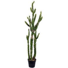 Summer Flowers Vickerman Green 56-Inch Cactus with Black