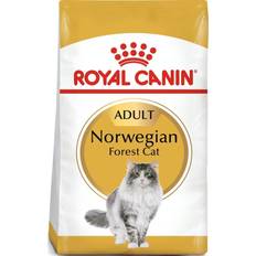 Kattemat Husdyr Royal Canin Norwegian Forest Cat 10kg