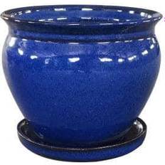 Southern Patio Pots, Plants & Cultivation Southern Patio Wisteria 11.81 Dripping Blue Ceramic