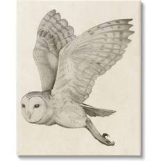 Cotton Wall Decor Stupell Industries Art Off-White - Grace Popp Flying Owl Wings Detailed Monochrome Wall Decor