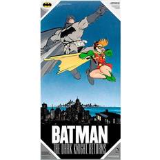 Posters DC Comics Batman and Robin glass poster
