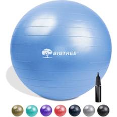 BIGTREE Exercise Balls Yoga Ball