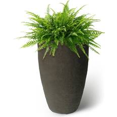 Algreen Pots, Plants & Cultivation Algreen Products Athena Self-Watering Planter, DIA