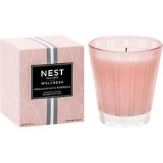 Scented Candles on sale NEST New York Himalayan Salt & Rosewater Scented Candle 8.1oz
