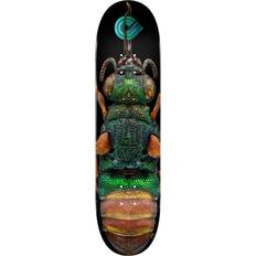 Powell Peralta Complete Skateboards Powell Peralta LB Ruby Tailed Wasp #244 8.5inch Skateboard Deck