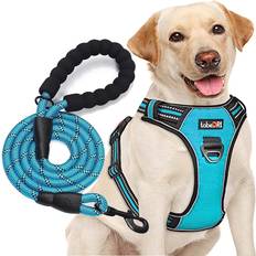 No Pull Dog Harness with 5ft Leash Large