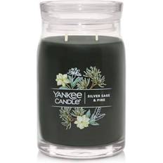 Yankee Candle Silver Sage & Pine Scented Candle 20oz