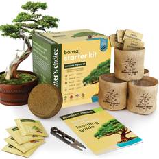 Plant Kits Planter's Choice Bonsai Starter Kit