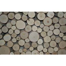 Wilson White Birch Fill-A-Space Logs