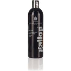 Pflege Carr & Day & Martin Gallop Colour Enhancing Black Shampoo 500ml