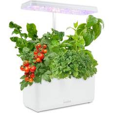 Hydroponics growing system Ivation 7-Pod Hydroponics Growing System Kit Garden planter Light