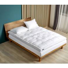 Serta Queen Beds & Mattresses Serta SE706302 Bed Mattress