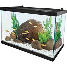 Fish & Reptile Pets Tetra Glass Aquarium 20 Gallons Rectangular Fish Tank