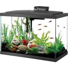 Fish tank aquarium Starter Kit with LED Lighting 20 Gallon High Aquarium Fish Tank