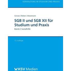 Gameboy Advance-Spiele SGB II und SGB XII für Studium und Praxis (Bd. 2/3)