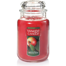 Yankee Candle Scented Candles Yankee Candle Macintosh Scented Candle 22oz