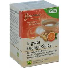 Tee Salus Ingwer Orange Spicy Tee