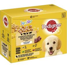 Pedigree Trockenfutter Haustiere Pedigree Junior Gemischte Selektion Gelee 4 Varietäten Hundefutter 12