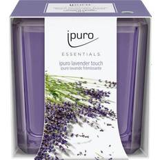Duftkerzen IPURO ESSENTIALS Lavender Touch Duftkerzen