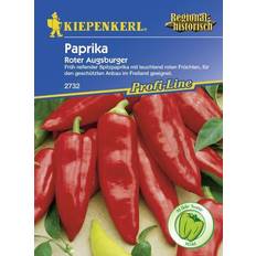 Gemüsesamen Kiepenkerl Spitzpaprika Roter Augsburger Capsicum annuum, Inhalt: