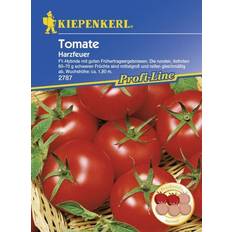 Gemüsesamen Kiepenkerl Tomate Harzfeuer Solanum lycopersicum, Inhalt: