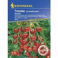 Gemüsesamen Kiepenkerl Tomate Picolino Solanum lycopersicum, Inhalt: