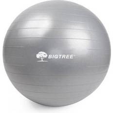 BIGTREE Yoga Ball Core Stability Gray 75"