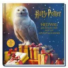 Panini Aus den Filmen zu Harry Potter: Hedwig ein magischer Pop-up Adventskalender