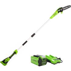 Cordless pole saw Greenworks 8inch 40v cordless pole saw, 2ah battery, ps40l210