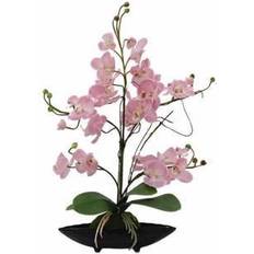 Europalms Orchidee, EVA Kunstig plante
