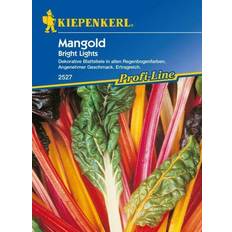 Sommerblumen Kiepenkerl Mangold Bright Lights Beta vulgaris var. vulgaris, Inhalt: